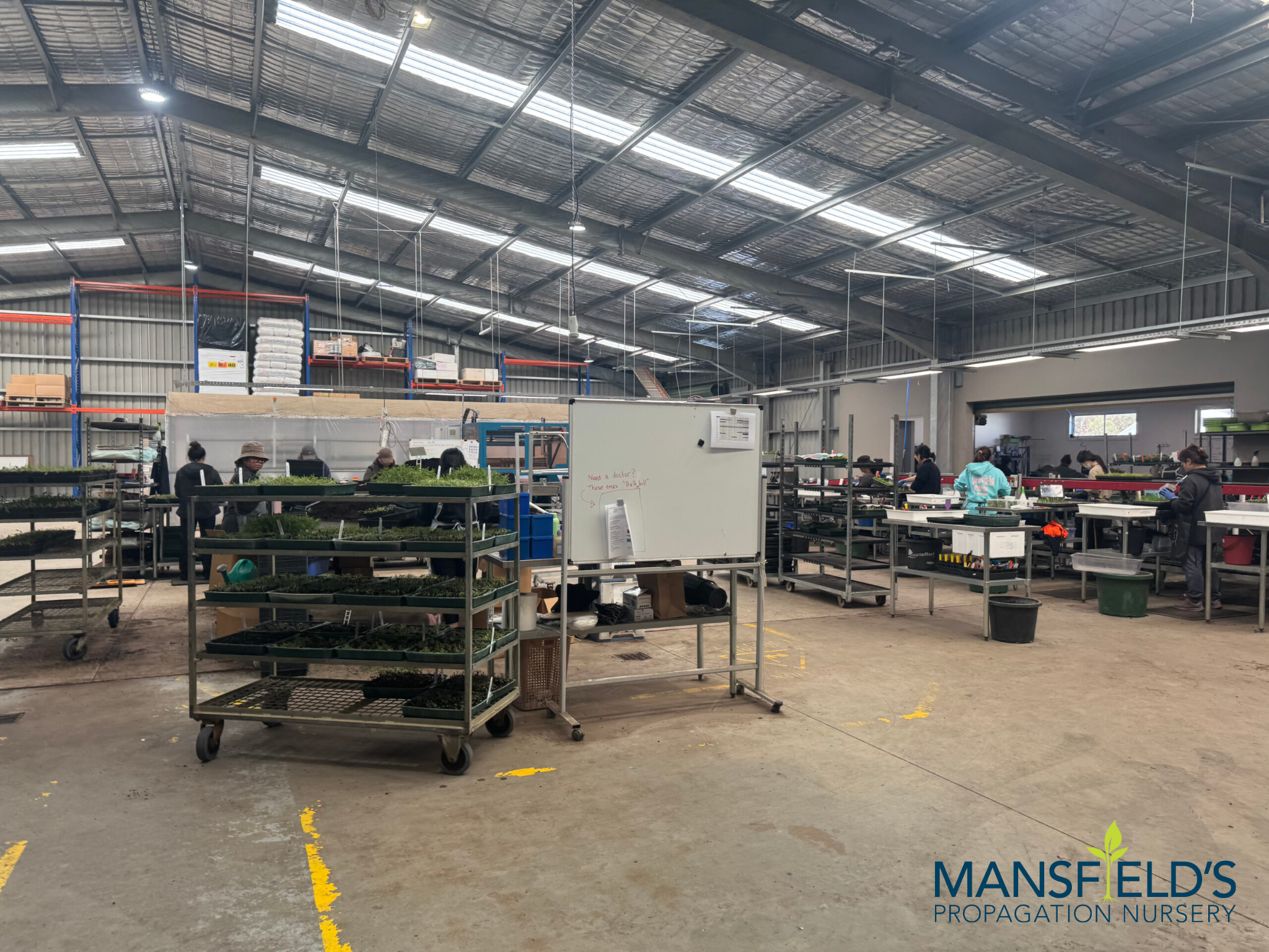Mansfield's replaced their legacy systems with a modernised application